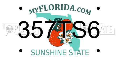 357TS6 Florida License Plate