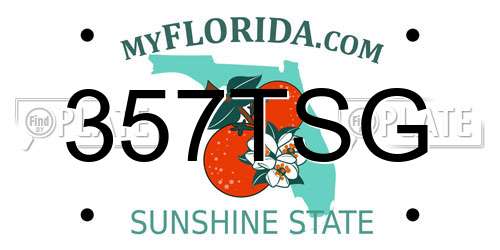 357TSG Florida License Plate