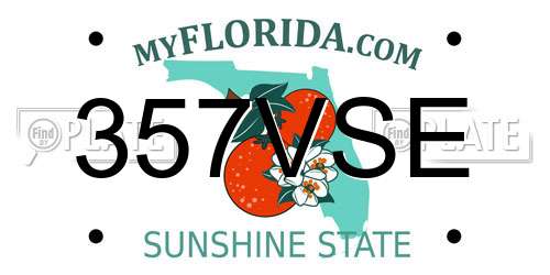 357VSE Florida License Plate