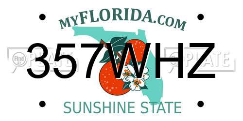 357WHZ Florida License Plate