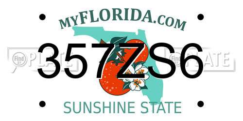 357ZS6 Florida License Plate