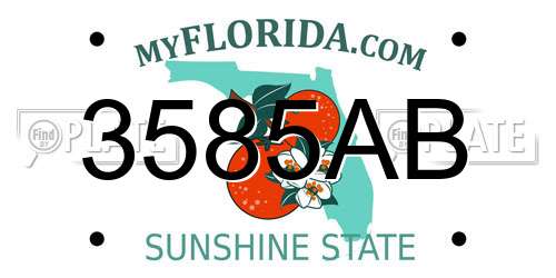 3585AB Florida License Plate