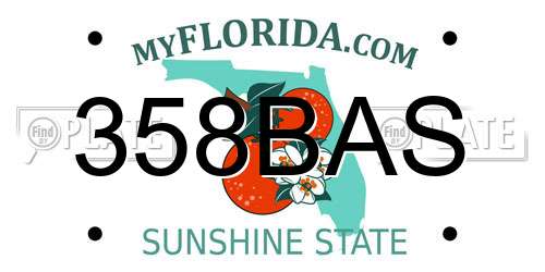 358BAS Florida License Plate