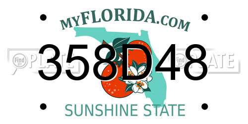 358D48 Florida License Plate