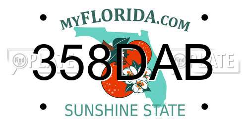 358DAB Florida License Plate