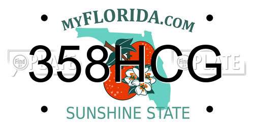 358HCG Florida License Plate