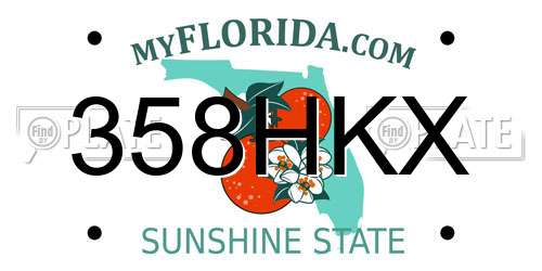 358HKX Florida License Plate