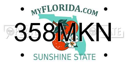 358MKN Florida License Plate