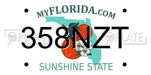 358NZT Florida License Plate