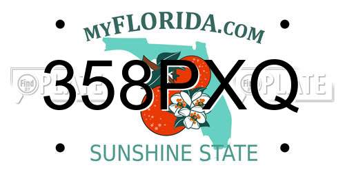 358PXQ Florida License Plate