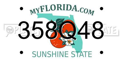 358Q48 Florida License Plate
