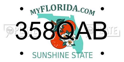 358QAB Florida License Plate