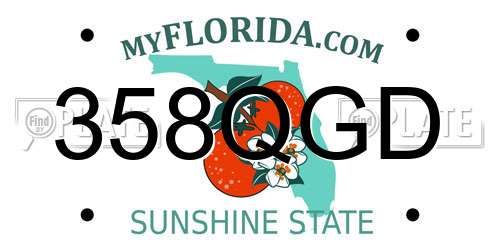 358QGD Florida License Plate