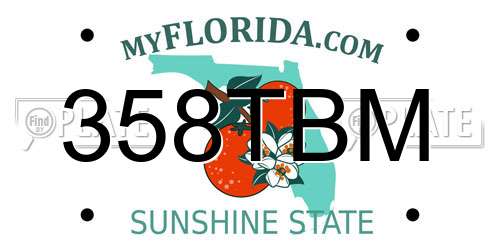 358TBM Florida License Plate