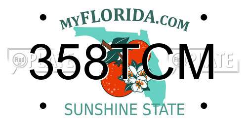 358TCM Florida License Plate