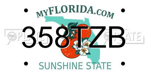 358TZB Florida License Plate
