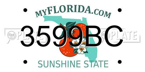 3599BC Florida License Plate