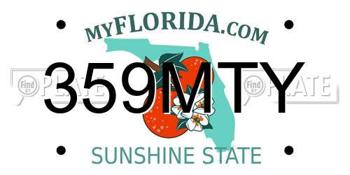 359MTY Florida License Plate