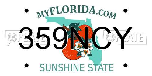 359NCY Florida License Plate