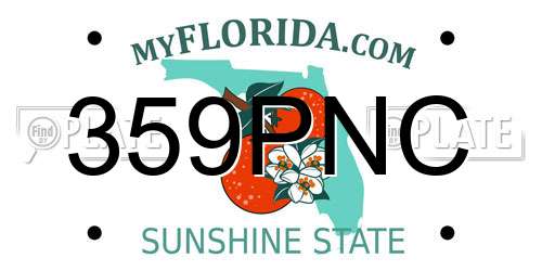 359PNC Florida License Plate