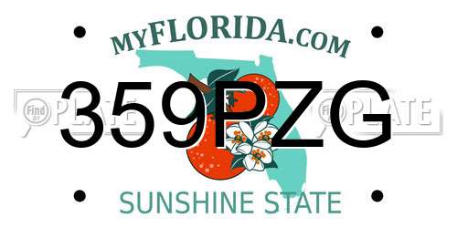 359PZG Florida License Plate