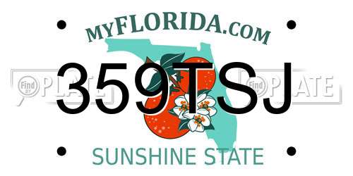 359TSJ Florida License Plate