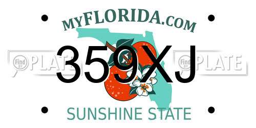 359XJ Florida License Plate