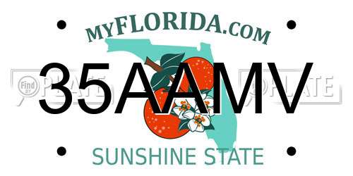 35AAMV Florida License Plate