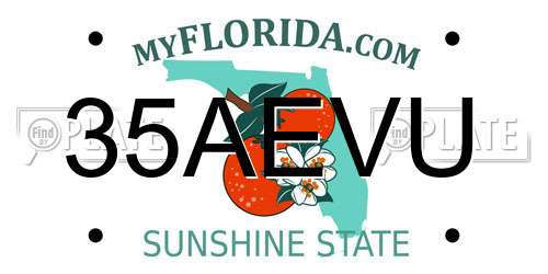 35AEVU Florida License Plate