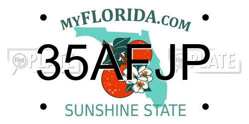 35AFJP Florida License Plate