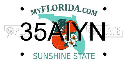 35AIYN Florida License Plate