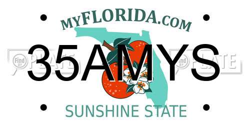 35AMYS Florida License Plate