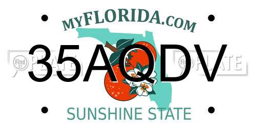 35AQDV Florida License Plate