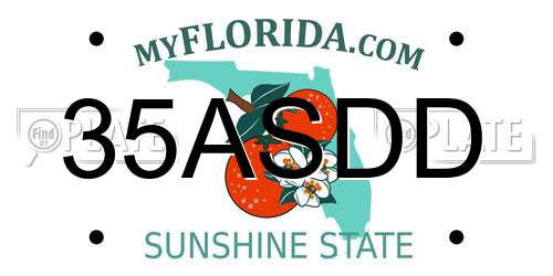 35ASDD Florida License Plate