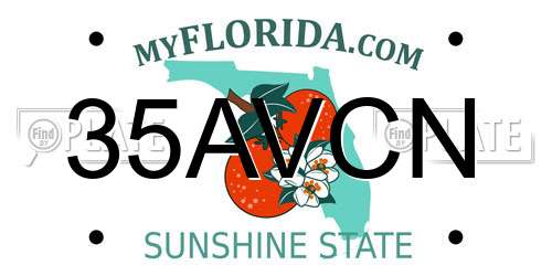 35AVCN Florida License Plate