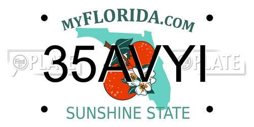 35AVYI Florida License Plate