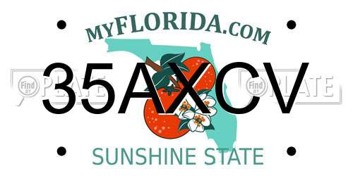 35AXCV Florida License Plate