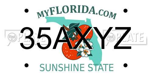 35AXYZ Florida License Plate