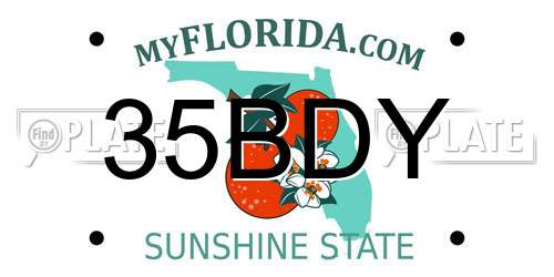 35BDY Florida License Plate