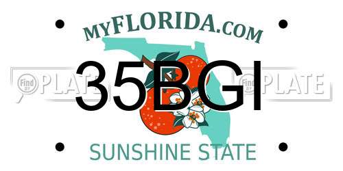 35BGI Florida License Plate
