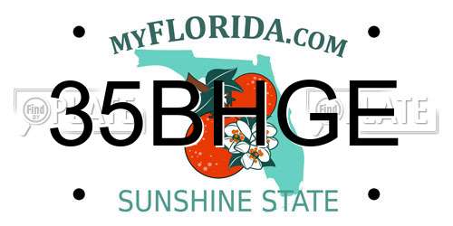 35BHGE Florida License Plate