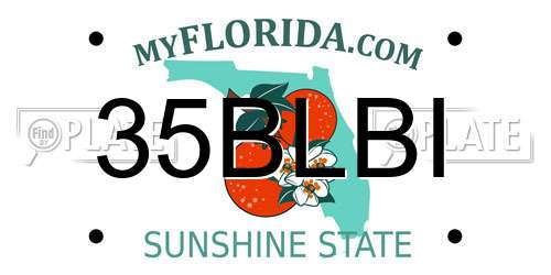 35BLBI Florida License Plate
