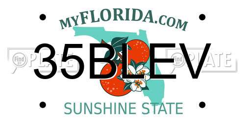 35BLEV Florida License Plate