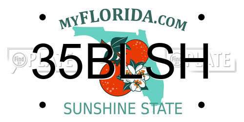 35BLSH Florida License Plate
