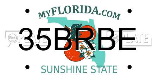 35BRBE Florida License Plate