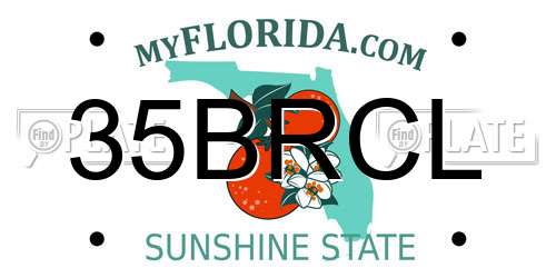 35BRCL Florida License Plate