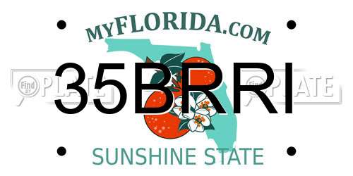 35BRRI Florida License Plate