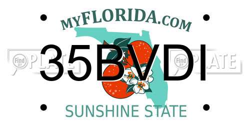 35BVDI Florida License Plate