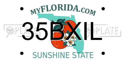 35BXIL Florida License Plate