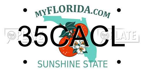 35CACL Florida License Plate